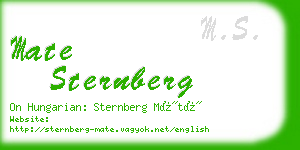 mate sternberg business card